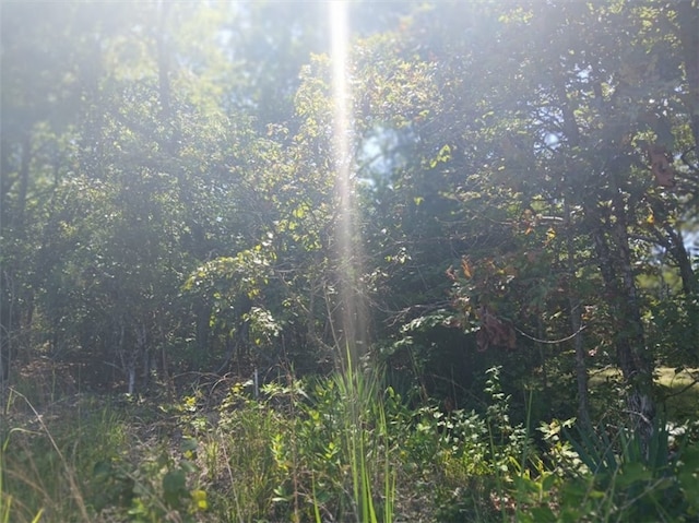 Highland Blvd S, Briarcliff, AR 72653