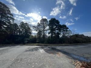 614 Castle Gate Loop, Russellville, AR 72802 - photo 2