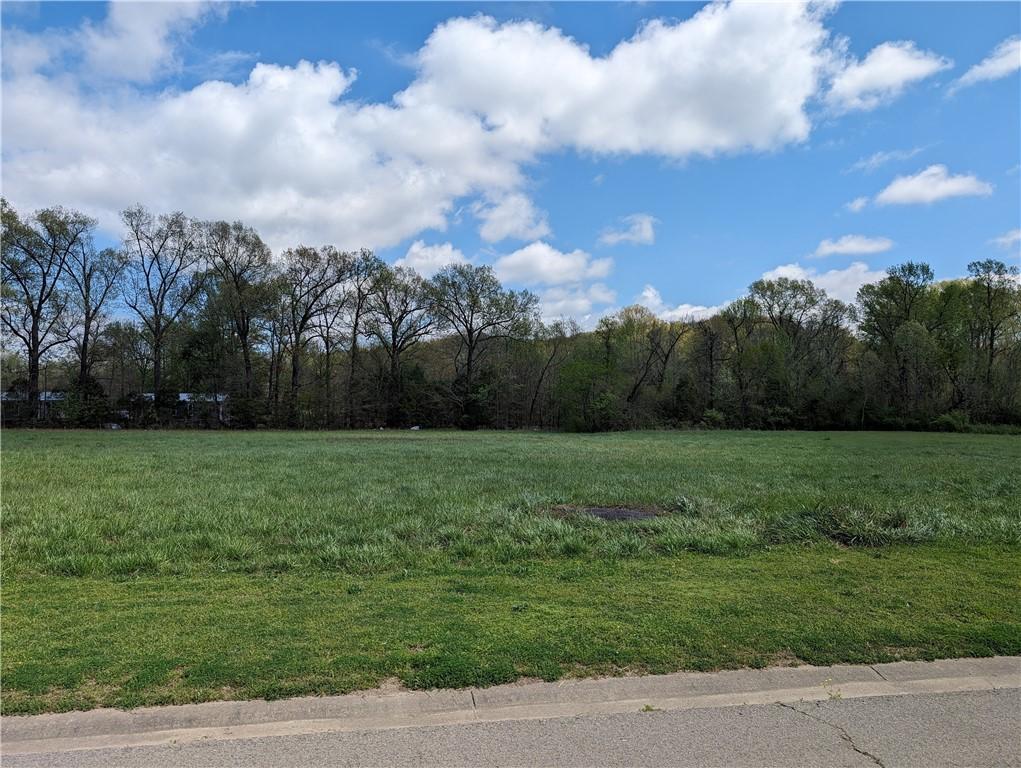 Gary Ln, Russellville, AR 72802 - photo 2