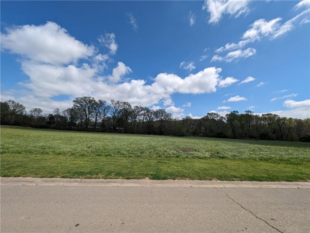 Gary Ln, Russellville, AR 72802 - photo 1