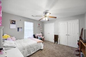 15515 Ar-105, Hector, AR 72843 - carpeted bedroom featuring two closets and ceiling fan