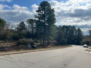622 Castlegate Loop, Russellville AR, 72802 land for sale