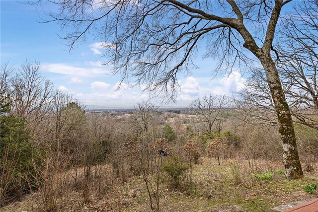 500 N Main St, Coal Hill, AR 72832 - photo 31