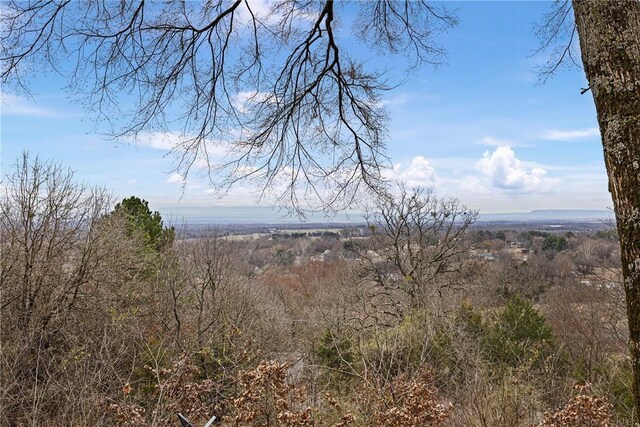 500 N Main St, Coal Hill, AR 72832 - photo 33