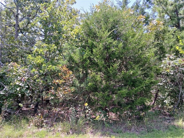 TBD Ben Nevis, Briarcliff, AR 72653