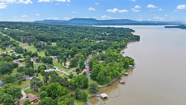 214 N Shore Dr, Russellville, AR 72802 - photo 45