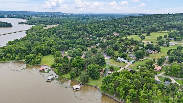 214 N Shore Dr, Russellville, AR 72802 - photo 51