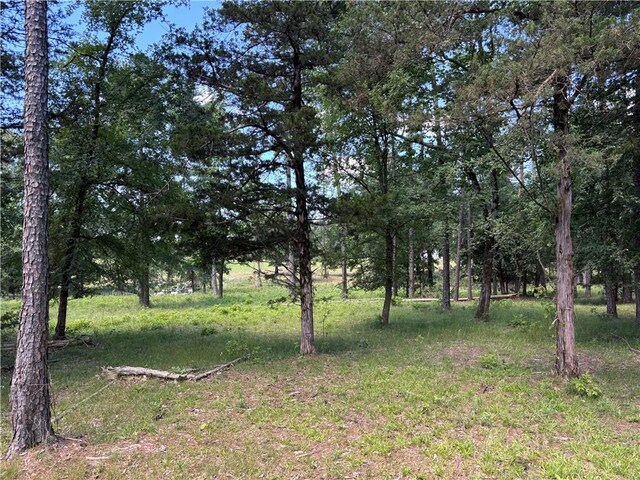 150 Rattlesnake Ln, Pottsville, AR 72858 - photo 43