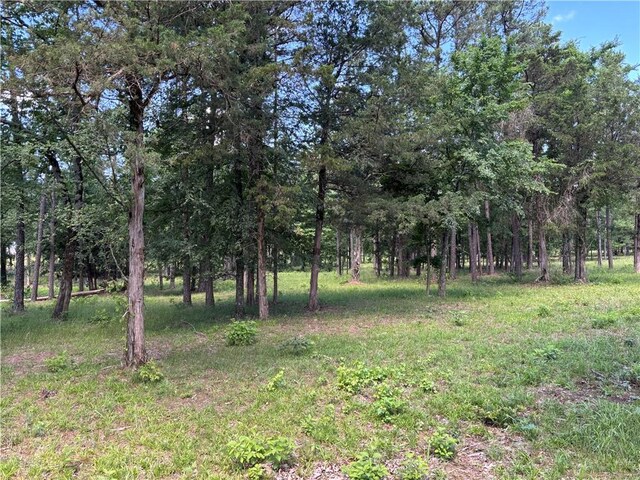 150 Rattlesnake Ln, Pottsville, AR 72858 - photo 44