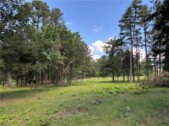 150 Rattlesnake Ln, Pottsville, AR 72858 - photo 45