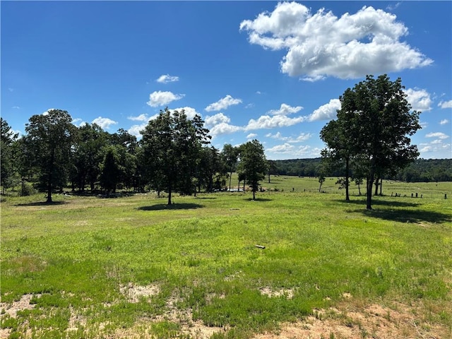 150 Rattlesnake Ln, Pottsville, AR 72858 - photo 30