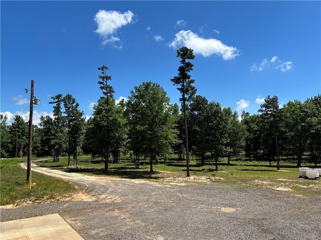 150 Rattlesnake Ln, Pottsville, AR 72858 - photo 32
