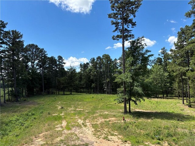 150 Rattlesnake Ln, Pottsville, AR 72858 - photo 34