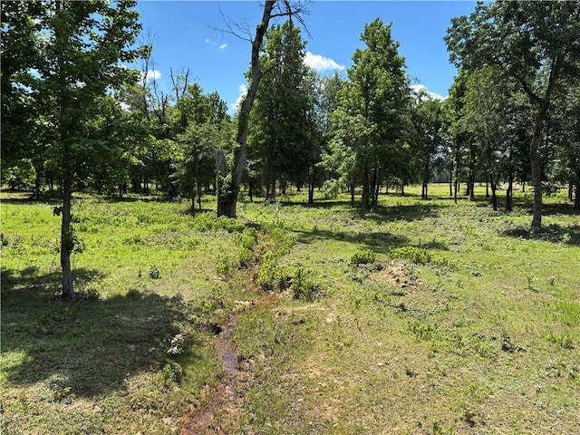150 Rattlesnake Ln, Pottsville, AR 72858 - photo 39