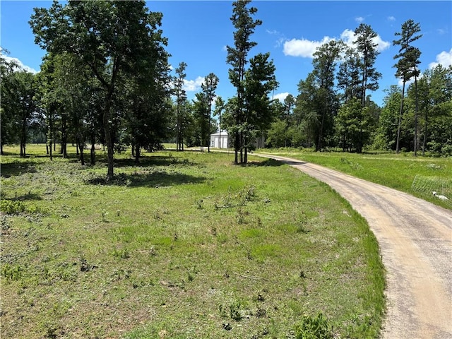 150 Rattlesnake Ln, Pottsville, AR 72858 - photo 40