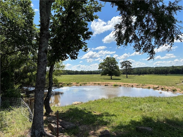150 Rattlesnake Ln, Pottsville, AR 72858 - photo 41