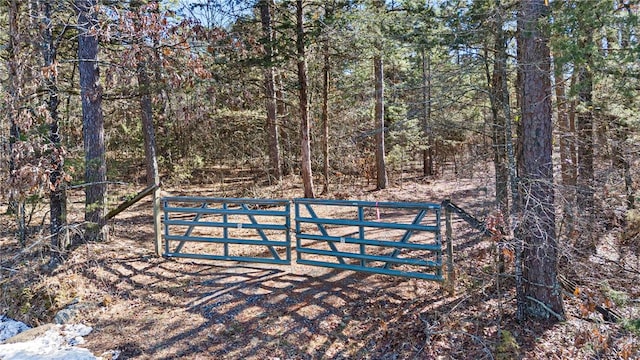 1505 Tucker Mountain Rd, Dover, AR 72837 - photo 2