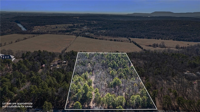 1505 Tucker Mountain Rd, Dover, AR 72837 - photo 4