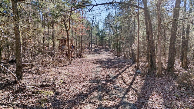1505 Tucker Mountain Rd, Dover, AR 72837 - photo 6