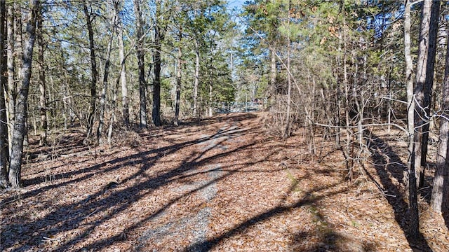 1505 Tucker Mountain Rd, Dover, AR 72837 - photo 7