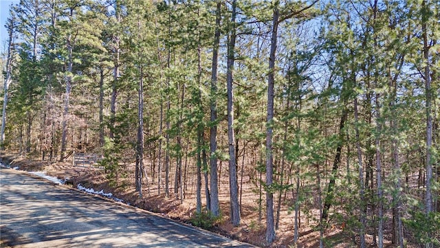 1505 Tucker Mountain Rd, Dover, AR 72837 - photo 8