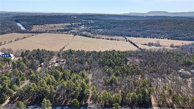 1505 Tucker Mountain Rd, Dover, AR 72837 - photo 9