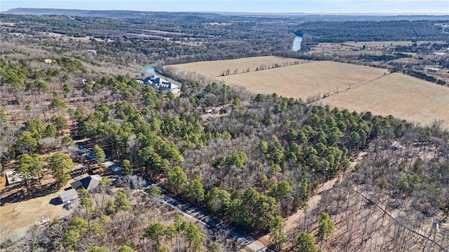 1505 Tucker Mountain Rd, Dover, AR 72837 - photo 10