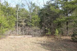 1395 Meimorstorf, Russellville, AR 72802 - photo 3