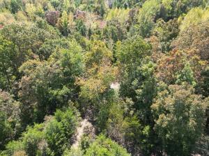 1395 Meimorstorf, Russellville, AR 72802 - photo 17