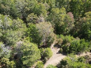 1395 Meimorstorf, Russellville, AR 72802 - photo 19