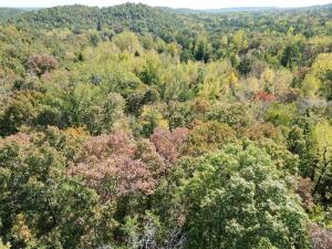 1395 Meimorstorf, Russellville, AR 72802 - photo 25