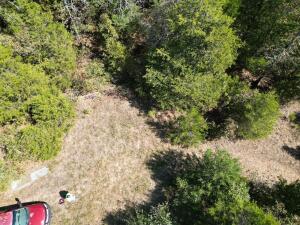 1395 Meimorstorf, Russellville, AR 72802 - photo 13