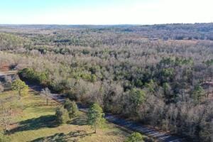 1395 Meimorstorf, Russellville, AR 72802 - photo 1