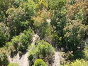 1395 Meimorstorf, Russellville, AR 72802 - photo 18
