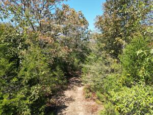 1395 Meimorstorf, Russellville, AR 72802 - photo 7