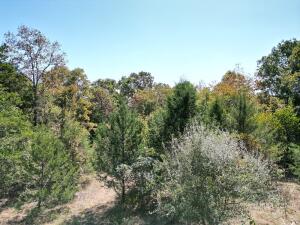 1395 Meimorstorf, Russellville, AR 72802 - photo 9