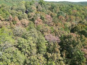 1395 Meimorstorf, Russellville, AR 72802 - photo 26