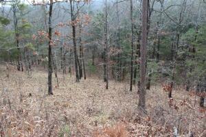 1395 Meimorstorf, Russellville, AR 72802 - photo 5