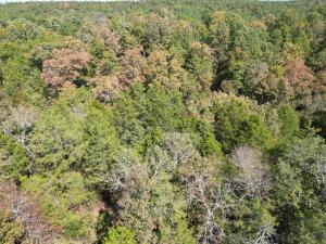 1395 Meimorstorf, Russellville, AR 72802 - photo 22