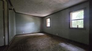 spare room with carpet flooring