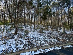 22 Craigwood Cir, Russellville, AR 72801 - photo 3