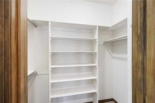 279 Eagle Cove Rd, Lamar, AR 72846 - view of spacious closet