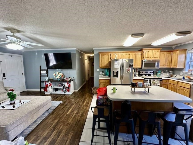 6011 River Rd, Pottsville, AR 72858 - kitchen with stainless steel appliances, crown molding, light countertops, ceiling fan, and dark wood-style flooring