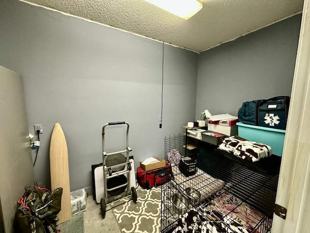 6011 River Rd, Pottsville, AR 72858 - misc room featuring a textured ceiling