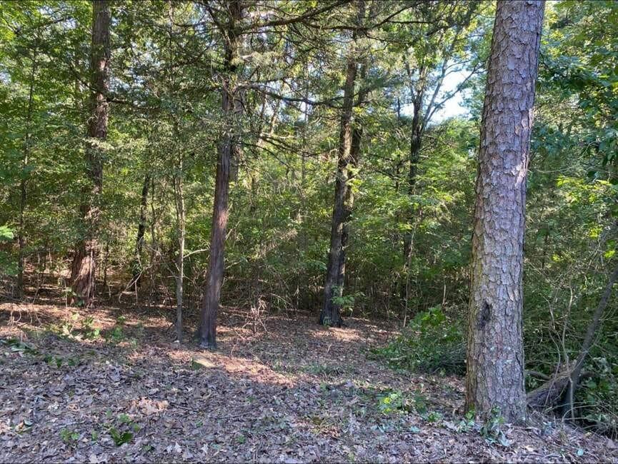 9 Dawn Cir, Russellville, AR 72802 - photo 2