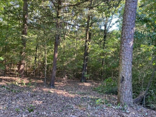 9 Dawn Cir, Russellville, AR 72802 - photo 2