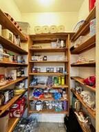 28 Angelfish Ct, Russellville, AR 72802 - view of storage area