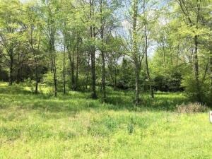 Hankins Dr, Dover, AR 72837