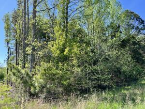 9 Timberline Ln, Russellville, AR 72802 - photo 5