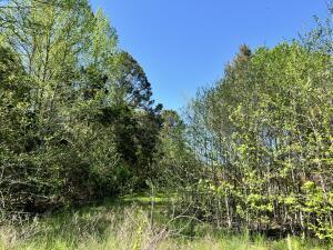 9 Timberline Ln, Russellville, AR 72802 - photo 2